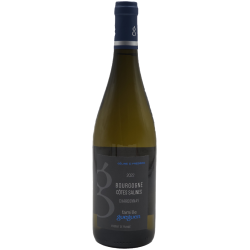 Domaine Gueguen Bourgogne Côtes Salines | french wine